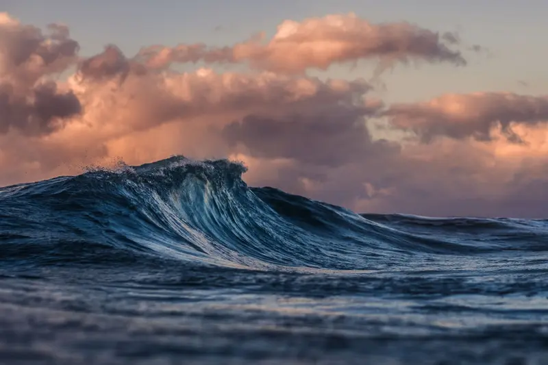 A dramatic wave rolling in at golden-hour light on the Puerto Rico coast — the ocean conditions that determine the best time to snorkel in Puerto Rico