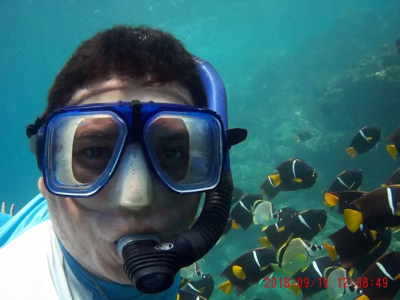 A snorkeler drifting over shallow turquoise reef near Icacos Island, Puerto Rico on an inclusive boat trip